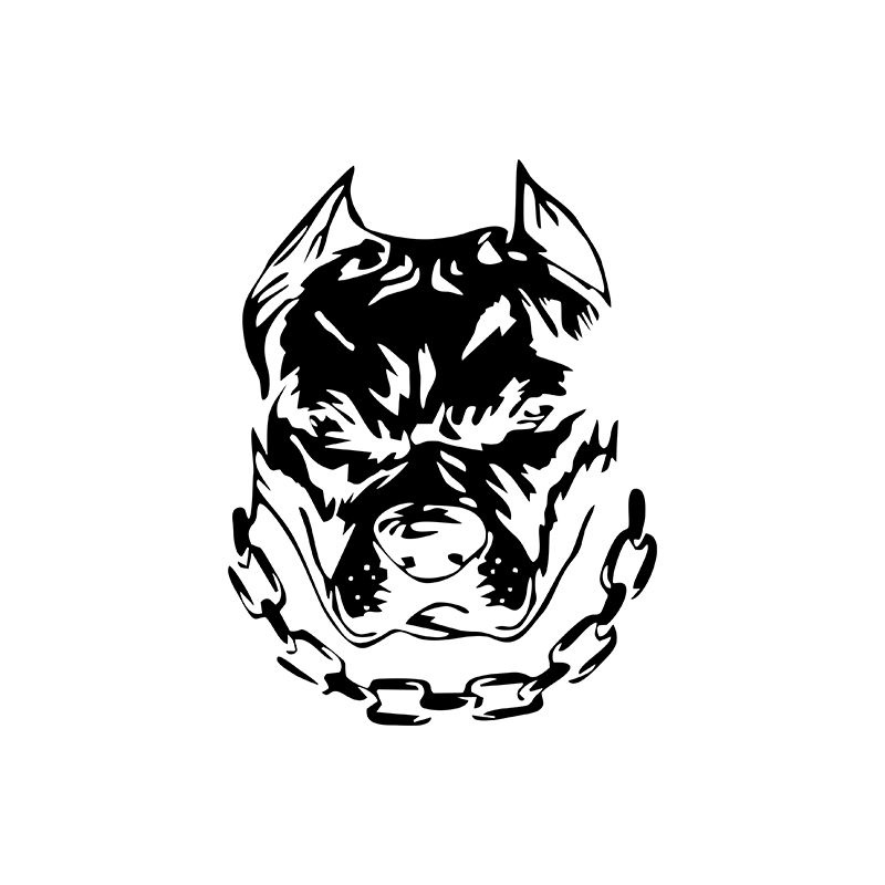 Веселая собака голова креативн – обзор и цена Motorcycle Gear For Dogs