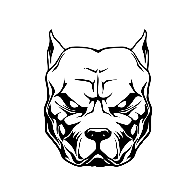 Светоотражающие автомобильные  – обзор и цена Motorcycle Gear For Dogs