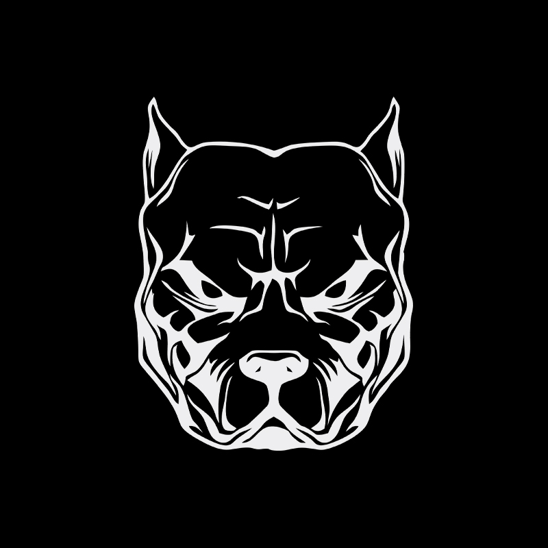 Светоотражающие автомобильные  – обзор и цена Motorcycle Gear For Dogs