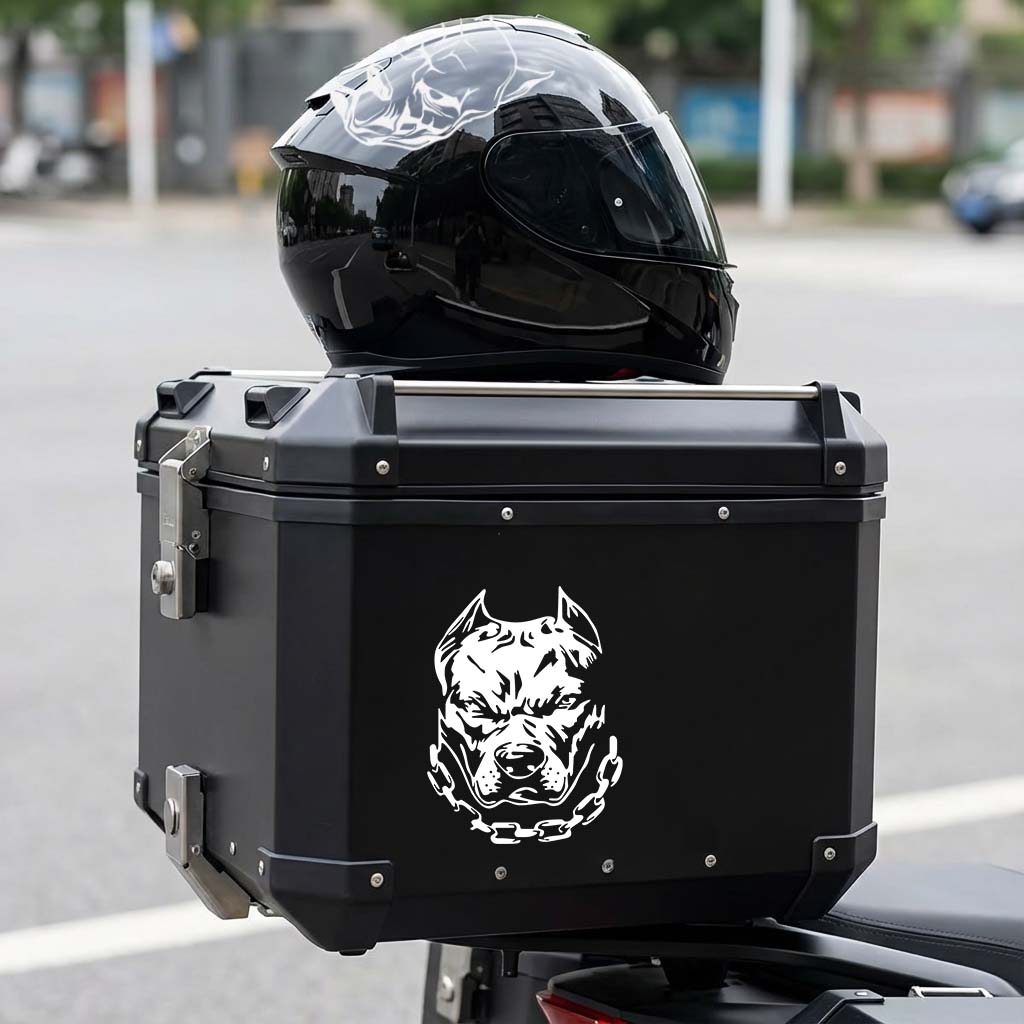Набор из 2-х разноцветных накл – обзор и цена Motorcycle Gear For Dogs