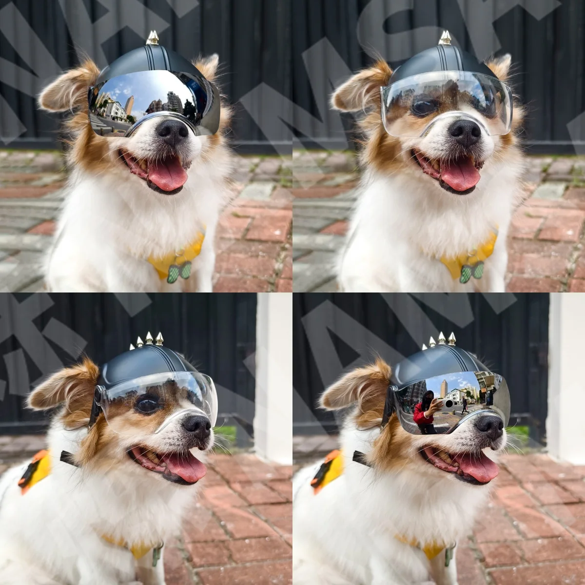 Мотоциклетный шлем и очки 2-в- – обзор и цена Motorcycle Gear For Dogs