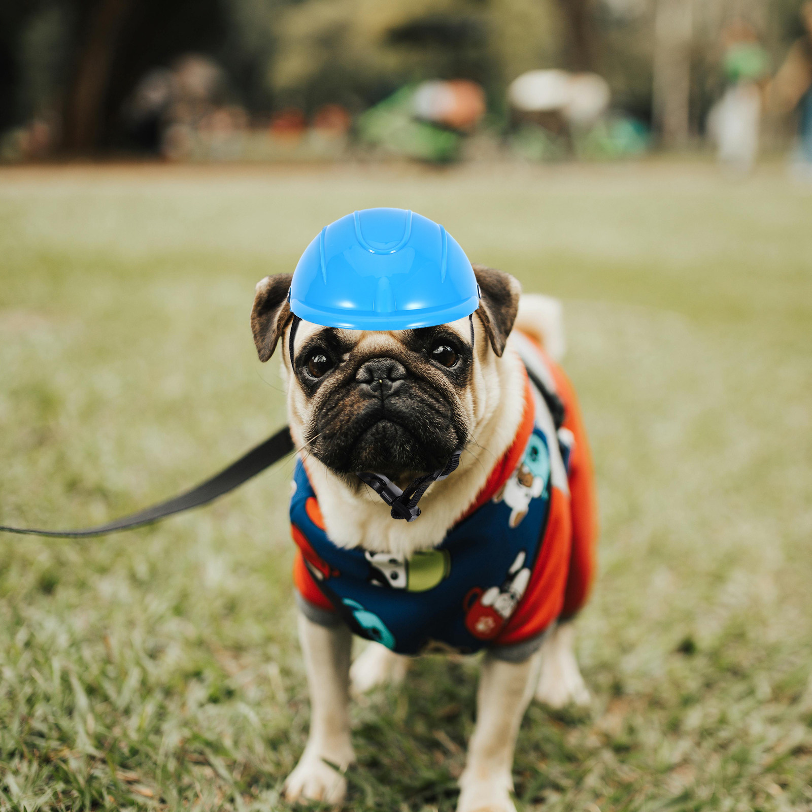 Регулируемый защитный шлем для – обзор и цена Motorcycle Gear For Dogs