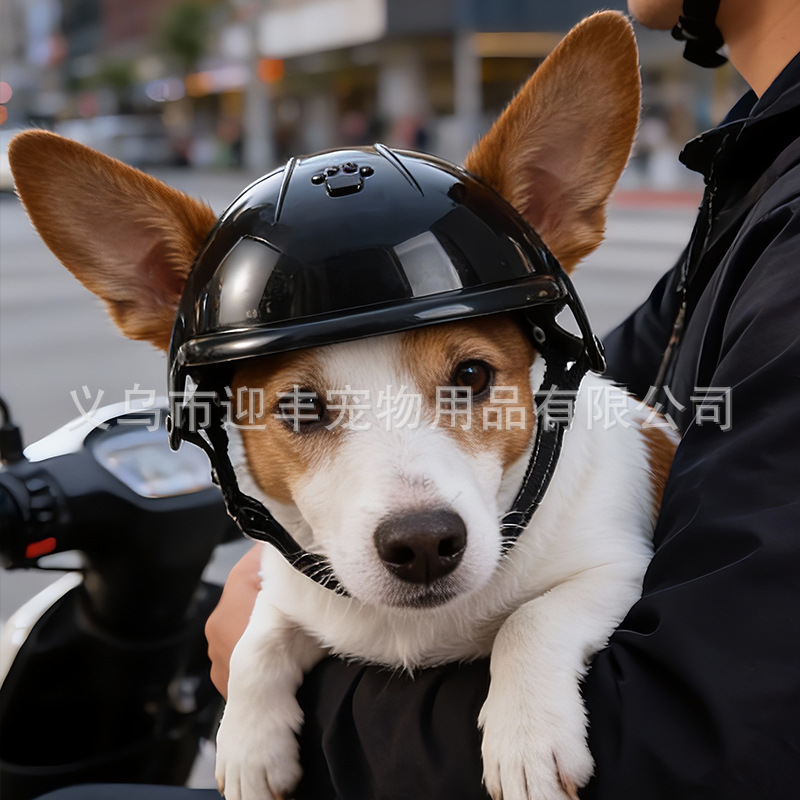 Розовый мотоциклетный шлем для – обзор и цена Motorcycle Gear For Dogs
