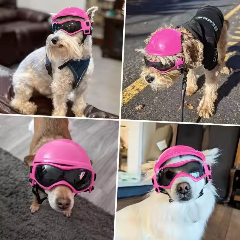Комплект: мотоциклетный шлем и – обзор и цена Motorcycle Gear For Dogs