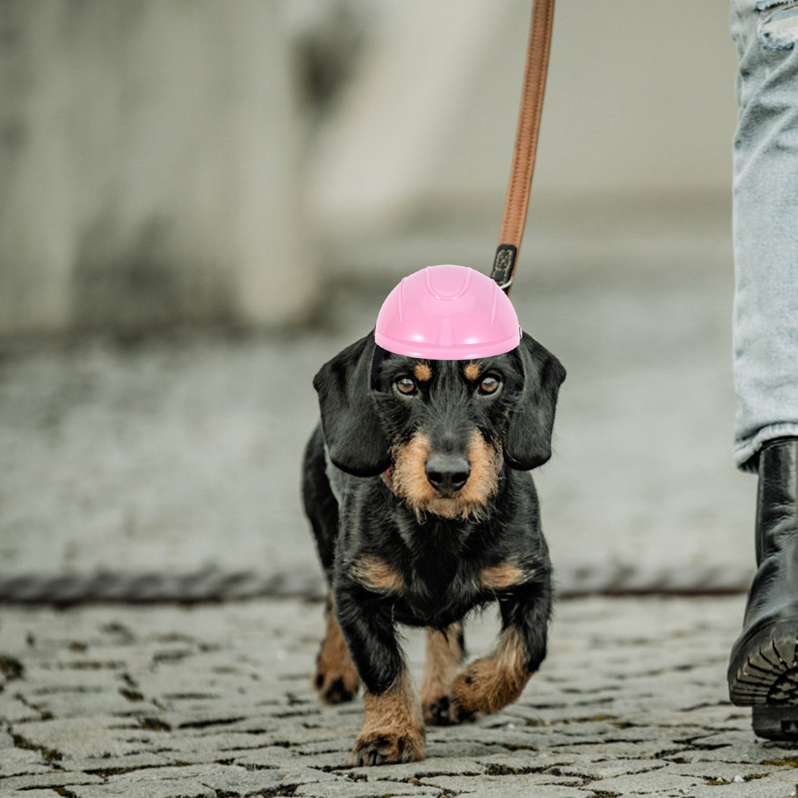 Регулируемая защитная каска дл – обзор и цена Motorcycle Gear For Dogs