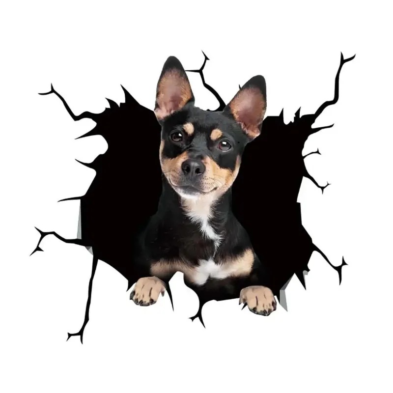 1 шт. наклейка с французским б – обзор и цена Motorcycle Gear For Dogs