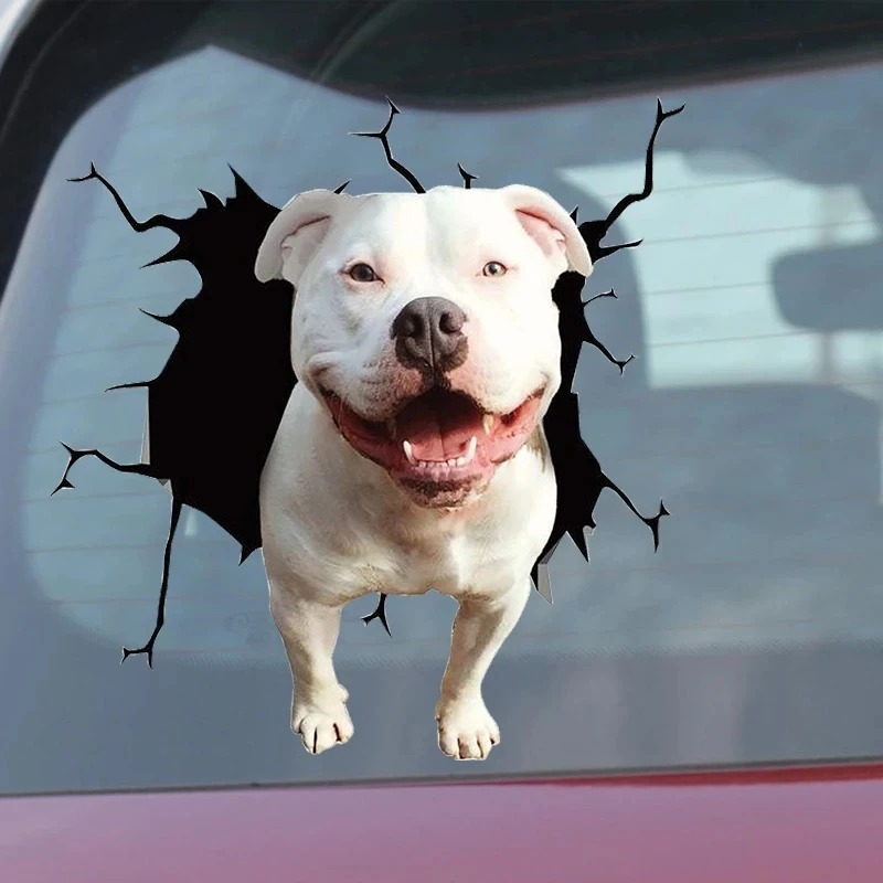 1 шт. наклейка с французским б – обзор и цена Motorcycle Gear For Dogs